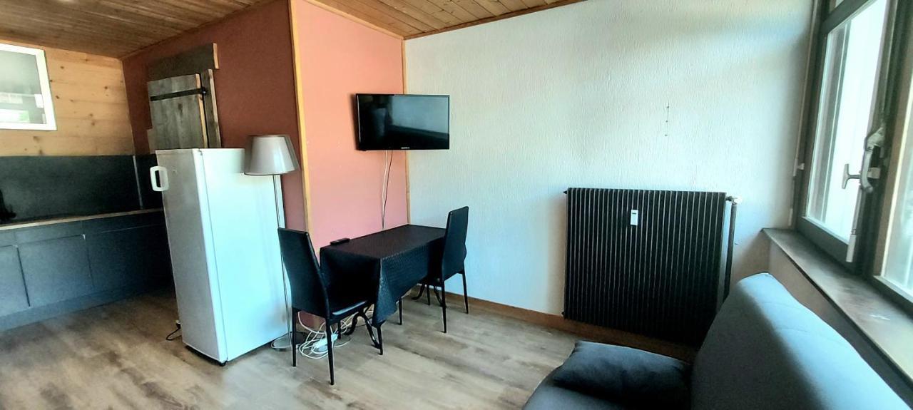 Studio 8 Bis, Pied De Pistes La Bresse Hohneck Apartment ภายนอก รูปภาพ